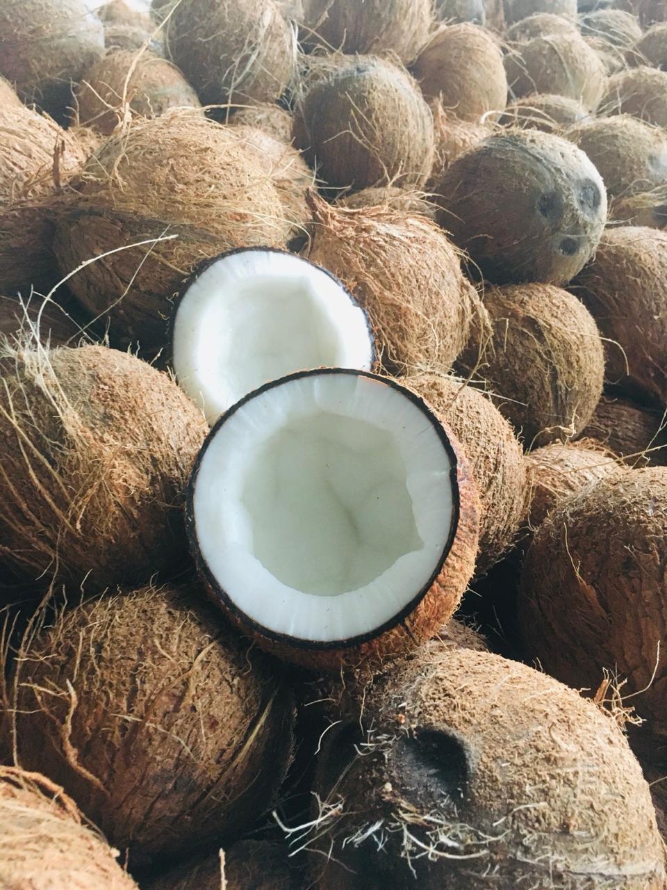 Coco Descascarillado from India